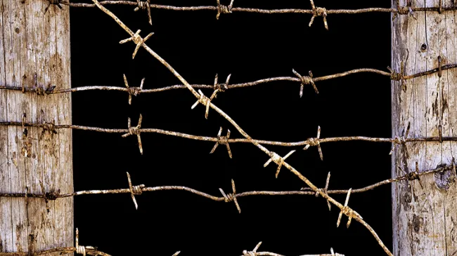 Barbed Wire Military